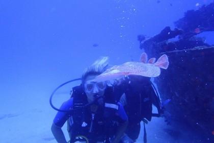 diver with ray fish